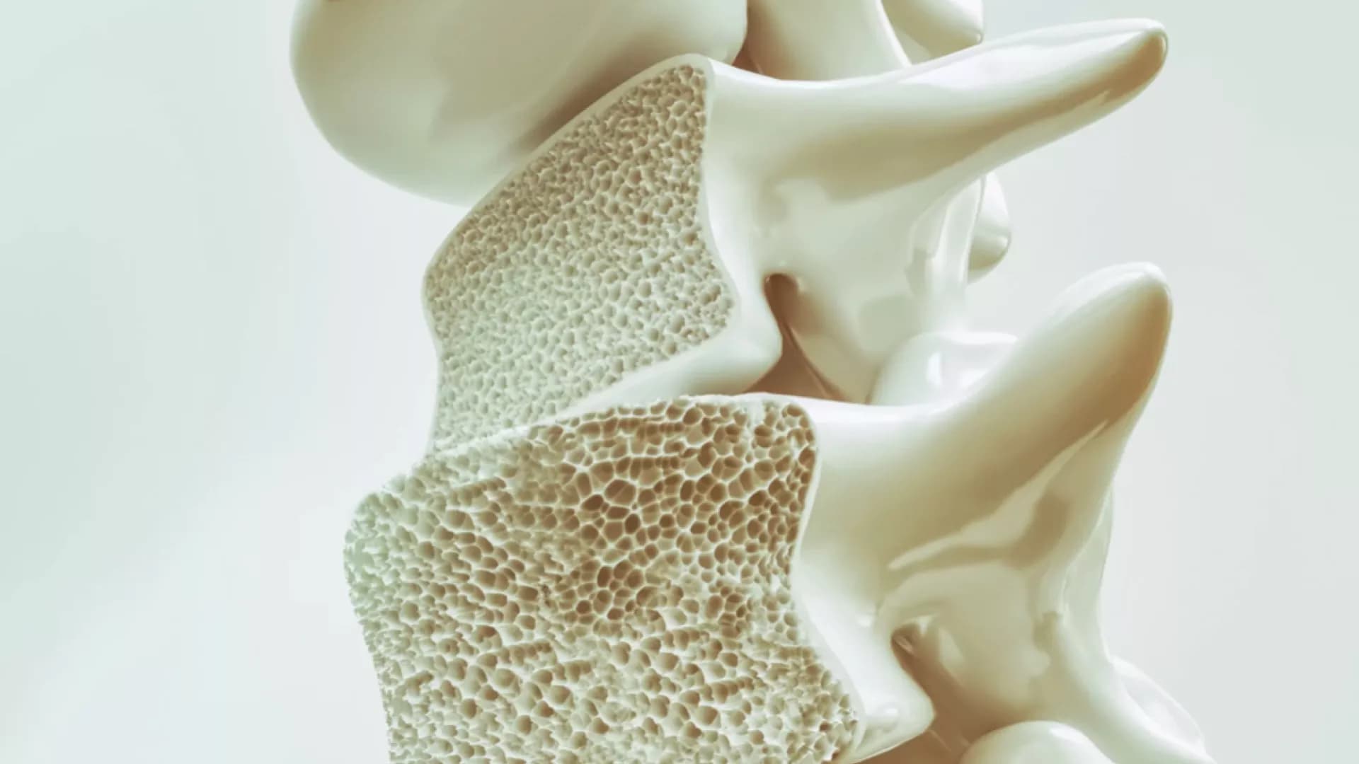 ทำไมต้องตรวจมวลกระดูก